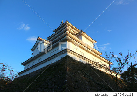 鶴ヶ城　会津若松　会津若松城　若松城本丸御　会津若松観光　天守閣　お城　福島県観光　若松城城址公園　 124540111