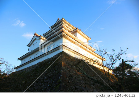 鶴ヶ城　会津若松　会津若松城　若松城本丸御　会津若松観光　天守閣　お城　福島県観光　若松城城址公園　 124540112