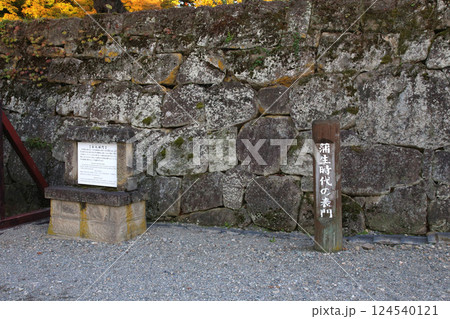 鶴ヶ城　会津若松　会津若松城　若松城本丸御　会津若松観光　天守閣　お城　福島県観光　若松城城址公園　 124540121