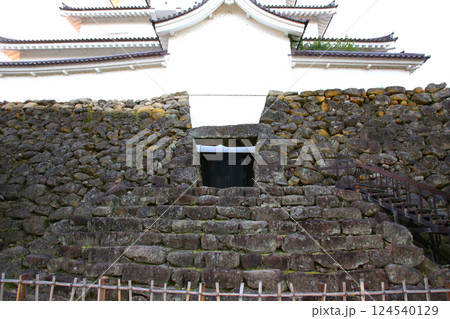 鶴ヶ城　会津若松　会津若松城　若松城本丸御　会津若松観光　天守閣　お城　福島県観光　若松城城址公園　 124540129