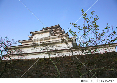 鶴ヶ城　会津若松　会津若松城　若松城本丸御　会津若松観光　天守閣　お城　福島県観光　若松城城址公園　 124540247