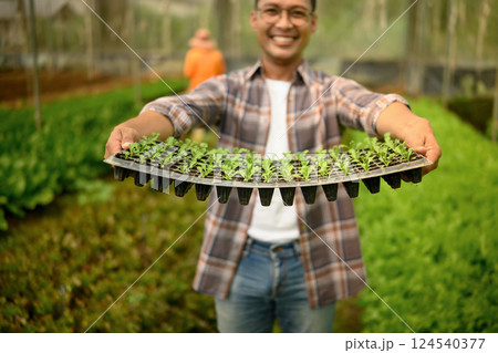 Smiling farmer showing seedling tray in organic greenhouse 124540377