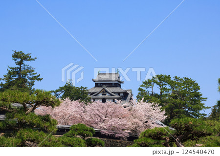 〈島根県〉春の松江城 南櫓と中櫓と太鼓櫓と天守(4月) 〈島根県〉春の松江城 南櫓と中櫓と太鼓櫓と天守(4月) 124540470