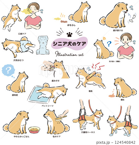 シニア犬ケアのイラストセット シニア犬ケアのイラストセット 124540842