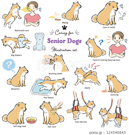 シニア犬ケアのイラストセット シニア犬ケアのイラストセット 124540843