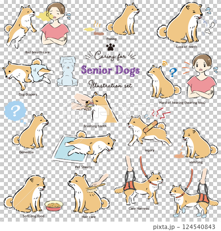 高級犬護理插圖集 124540843