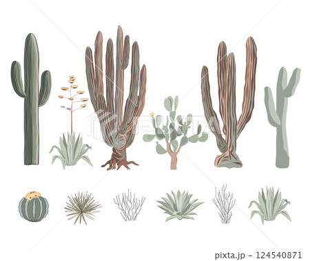 Cacti set with blue agave plants, prickly pear cactus, giant cardon, and saguaro. Vector illustration. Cacti set with blue agave plants, prickly pear cactus, giant cardon, and saguaro. Vector illustration. 124540871