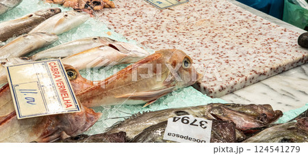 Mercado do Livramento in Setub 124541279