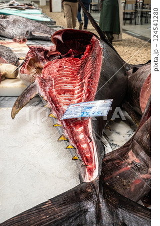Mercado do Livramento in Setub 124541280