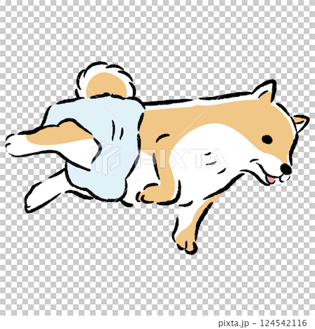 おむつを着用するシニア犬の手描きイラスト 124542116