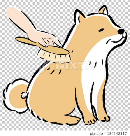 シニア犬をブラッシングするイラスト 124542117