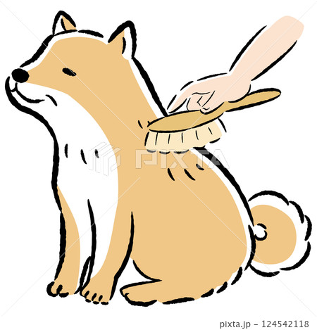 シニア犬をブラッシングするイラスト 124542118