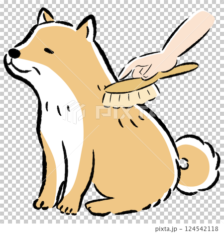 シニア犬をブラッシングするイラスト 124542118