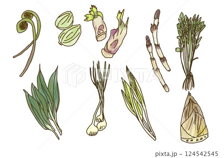 春の山菜 124542545