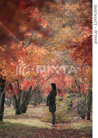 Portrait of a young Asian woman with autumn leaves 124542640