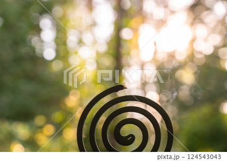 Green mosquito coil Insect repellent outdoors during summer. Trying to kill mosquitoes and flies. Prevention disinfection against mosquito bite 124543043