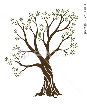 Olive trees with branches and leaves for design of packaging, label, logotype or banner. Natural organic stylized olive icon, premium quality sign. Vector illustration Olive trees with branches and leaves for design of packaging, label, logotype or banner. Natural organic stylized olive icon, premium quality sign. Vector illustration 124543061