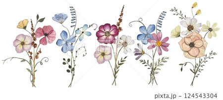 Collection with pressed dry flower bouquets isolated on white background. Watercolor illustration Collection with pressed dry flower bouquets isolated on white background. Watercolor illustration 124543304