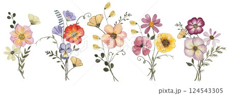 Collection with pressed dry flower bouquets isolated on white background. Watercolor illustration Collection with pressed dry flower bouquets isolated on white background. Watercolor illustration 124543305