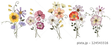 Collection with pressed dry flower bouquets isolated on white background. Watercolor illustration Collection with pressed dry flower bouquets isolated on white background. Watercolor illustration 124543316