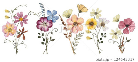 Collection with pressed dry flower bouquets isolated on white background. Watercolor illustration 124543317
