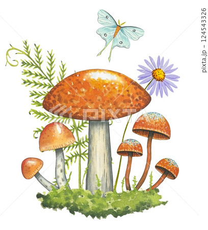Composition with mushrooms, green grass, fern. Watercolor on a white background 124543326