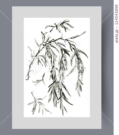 Willow tree twig with hanging petals and tassels filled with seeds on poster. Watercolor artwork 124543899