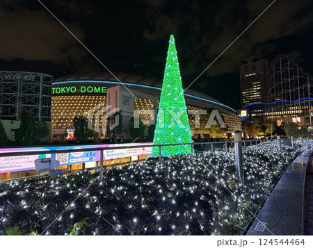 イルミネーションが輝く夜の東京ドーム 124544464