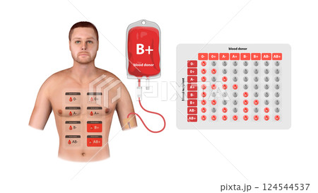 A medical infographic displaying B Positive blood donation, transfusion details, and recipient compatibility in clinical and emergency settings, 3d A medical infographic displaying B Positive blood donation, transfusion details, and recipient compatibility in clinical and emergency settings, 3d 124544537