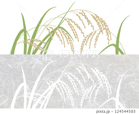 2種の稲 2種の稲 124544583