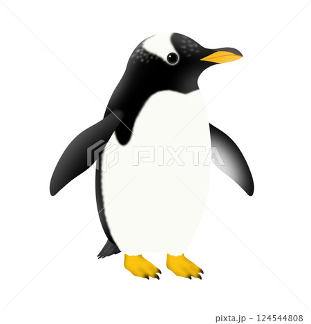かわいいジェンツーペンギンのイラスト 124544808