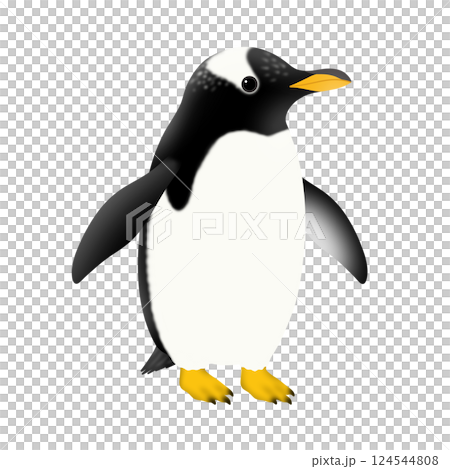 かわいいジェンツーペンギンのイラスト 124544808