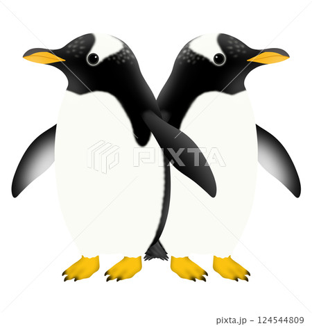 かわいい2羽のジェンツーペンギンのイラスト 124544809