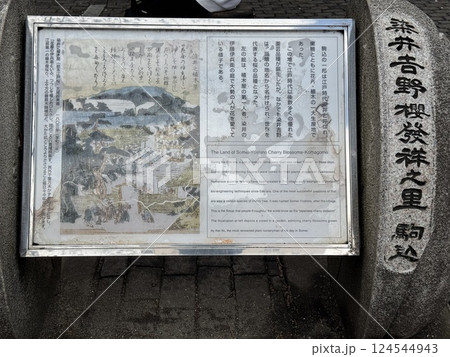 ソメイヨシノ発祥の地 124544943