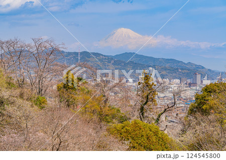 【静岡県】桜が咲いた清水船越堤公園　富士山遠望 124545800