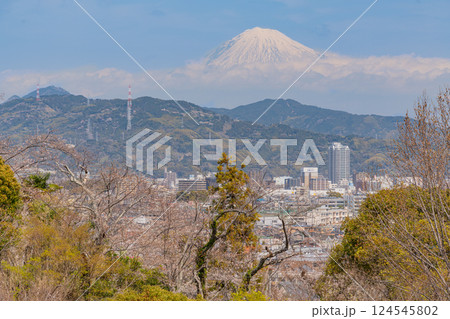 【静岡県】桜が咲いた清水船越堤公園 富士山遠望 【静岡県】桜が咲いた清水船越堤公園 富士山遠望 124545802