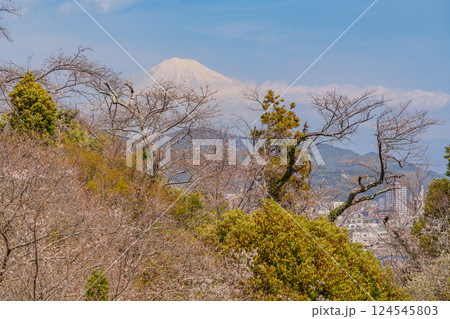 【静岡県】桜が咲いた清水船越堤公園　富士山遠望 124545803