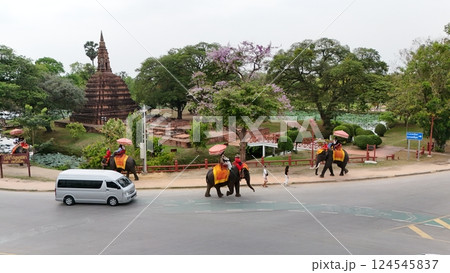 Tourists ride an elephant through the streets of Ayutthaya cultural. 124545837