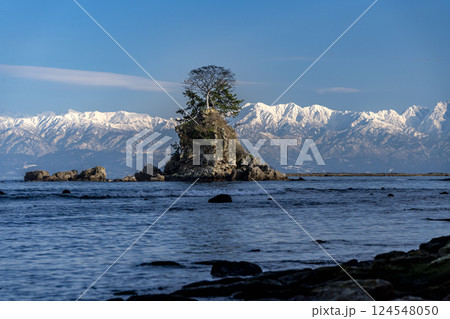 冬の雨晴海岸から眺める立山連峰 124548050