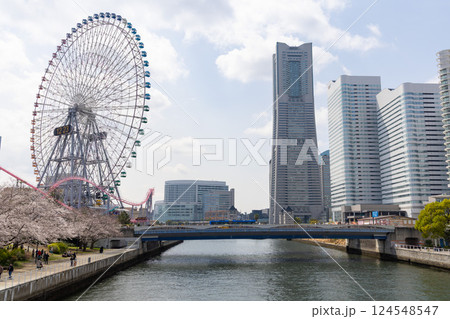 【横浜】晴天のみなとみらい 124548547