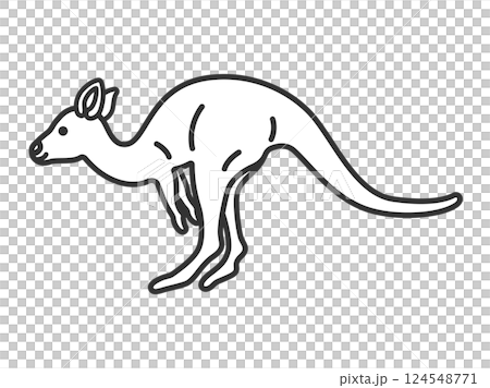 Kangaroo (line drawing) illustration Kangaroo (line drawing) illustration 124548771