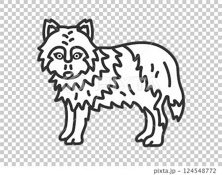 狼（線描）圖 124548772