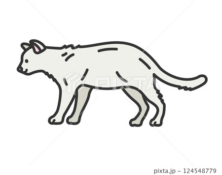 白猫(線画カラー)のイラスト 白猫(線画カラー)のイラスト 124548779
