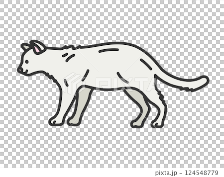 白猫(線画カラー)のイラスト 白猫(線画カラー)のイラスト 124548779