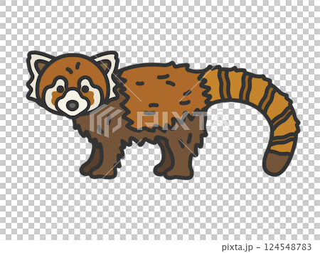 レッサーパンダ（線画カラー）のイラスト 124548783