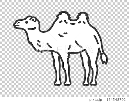 Illustration of a Bactrian camel (line drawing) 124548792