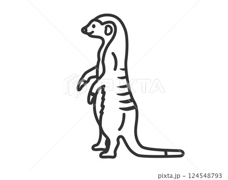 ミーアキャット（線画）のイラスト 124548793