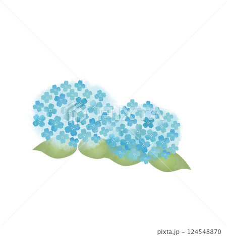 水彩風の紫陽花のイラスト 124548870