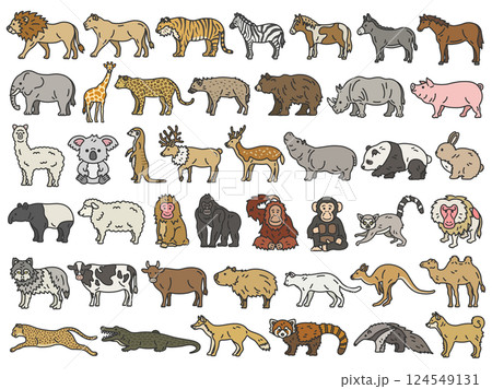 いろいろな、動物(線画カラー)のイラストセット いろいろな、動物(線画カラー)のイラストセット 124549131