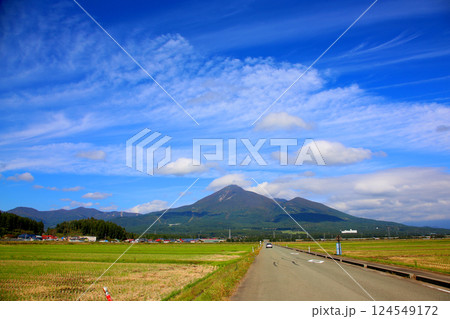 磐梯山　会津磐梯山　猪苗代　トヨタロード　田んぼ　猪苗代代塩川線　磐梯町　星野リゾート ネコマ 　　 124549172
